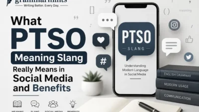 ptso meaning slang